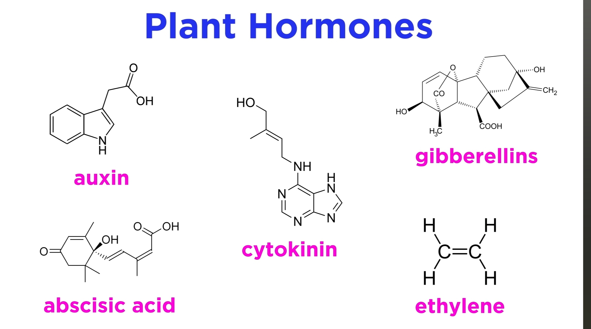 Plant hormones